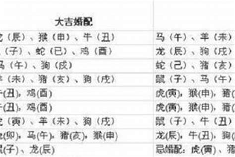 1997年属相|1997年属牛的最佳配偶 97年属牛的和什么属相最配